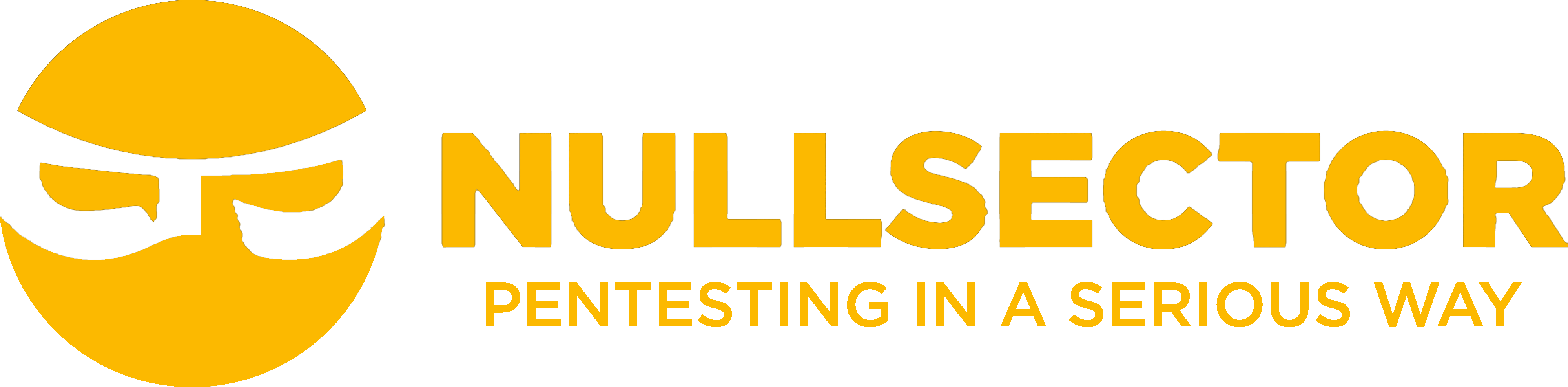 Nullsector - Pentesting in a serious way